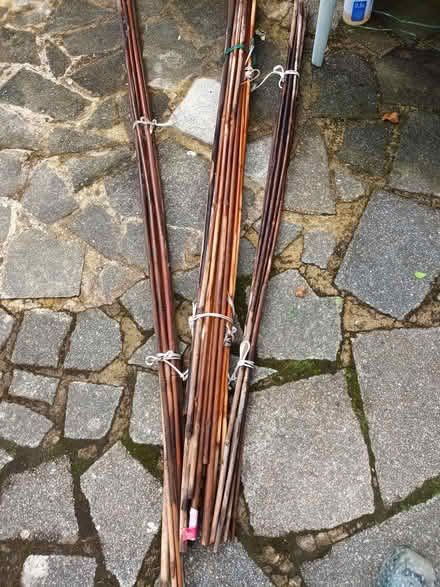 Photo of free Bamboo Canes (Moulsecoomb BN1) #1