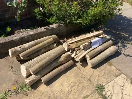 Photo of free Logs from tree (IP2) #1