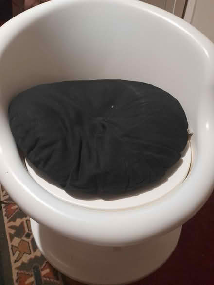 Photo of free Chair (SA4) #1