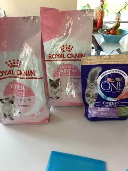 Photo of free Kitten/cat food (Chippenham SN15) #1