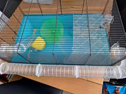 Photo of free Hamster cage (Allesley Park CV5) #2
