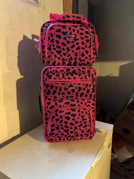 Photo of free Luggage (Delaplane Manor, Newark) #1