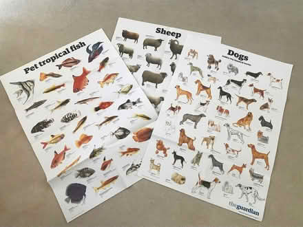 Photo of free Large posters (Radlett WD7) #1