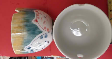 Photo of free noodle bowls (Palo Alto, Ventura) #1