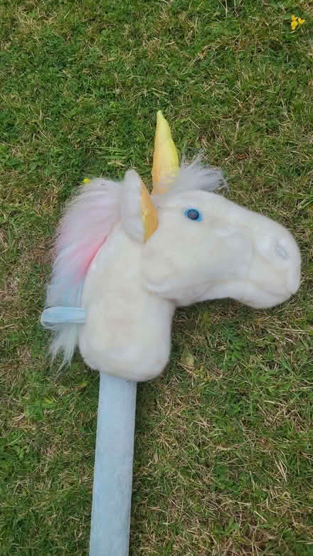 Photo of free hobby horse unicorn (Woodley RG5) #1