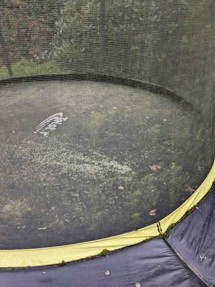 Photo of free 8ft trampoline (WGC, knightsfield) #3