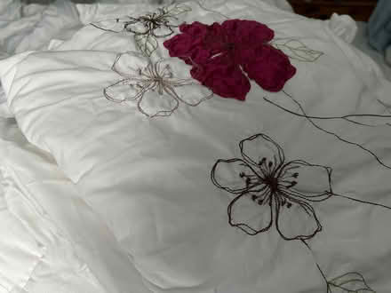 Photo of free 2 Single Duvets +Covers +protectors (Ham TW10) #1