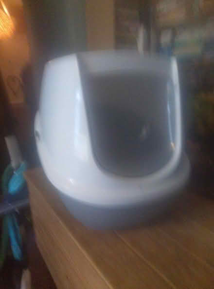 Photo of free Large cat litter box (Anerley SE20) #1