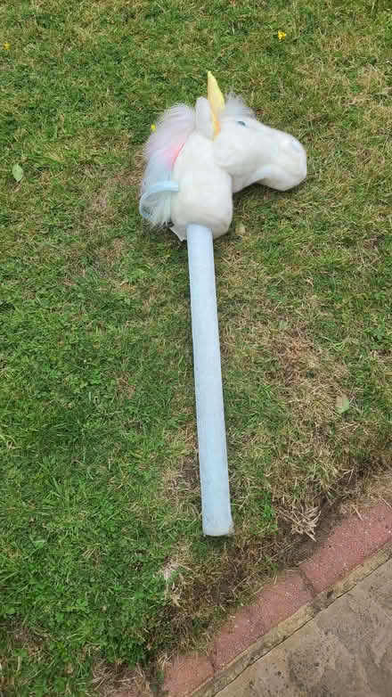 Photo of free hobby horse unicorn (Woodley RG5) #2