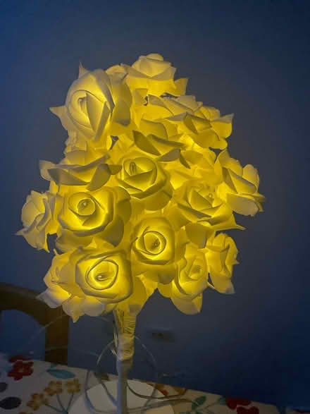 Photo of free Rose lamp (Malvern WR14) #2