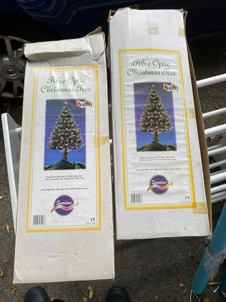 Photo of free 2 very small Xmas trees (Crosspool S10) #1