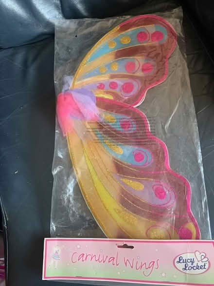 Photo of free Brand New Dressing Up Wings (Gosforth NE3) #1