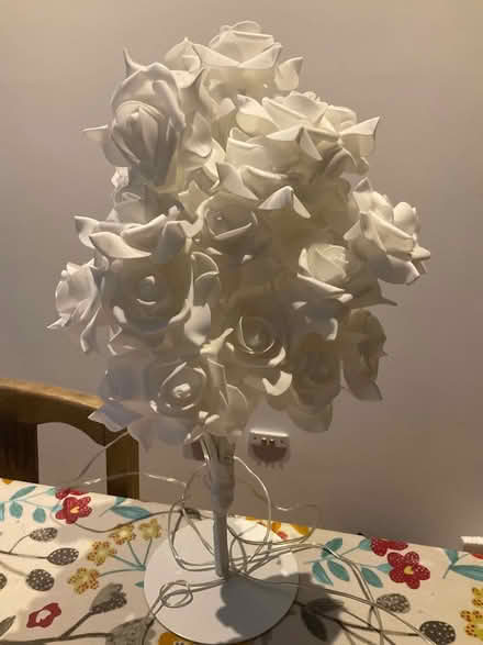 Photo of free Rose lamp (Malvern WR14) #1