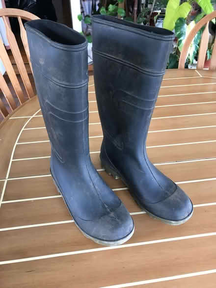 Photo of free Wellington Boots (Walberton BN18) #1