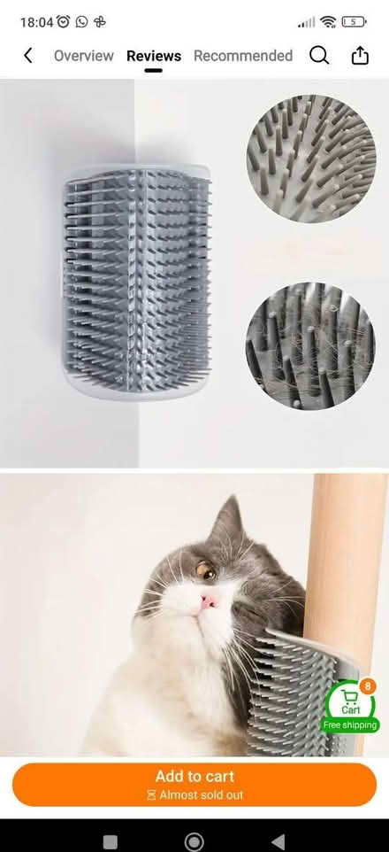 Photo of free Corner cat scratcher (Luton LU3) #1