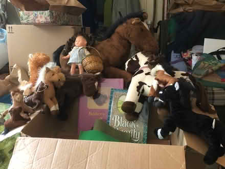 Photo of free Plush Horses play set (East Watertown) #1