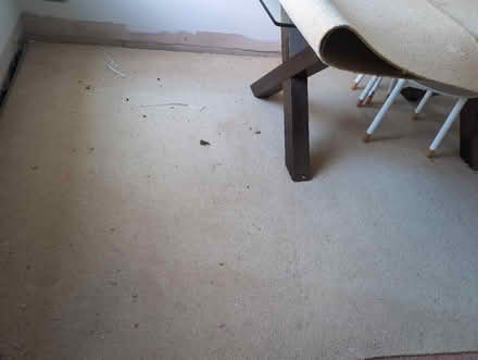 Photo of free Used carpet large amount (Shenfield, CM15) #2