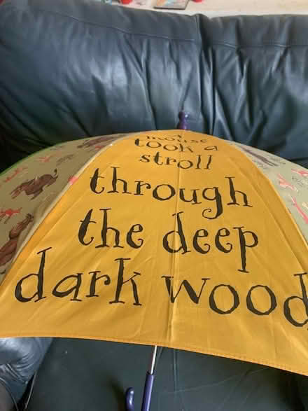 Photo of free Gruffalo Kids Umbrella (3-6 years) (Gosforth NE3) #1