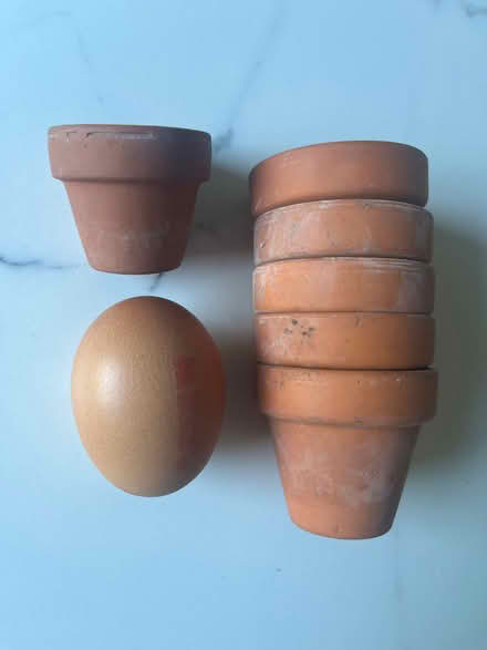 Photo of free Mini Plant Pots (Winkfield Row RG42) #1