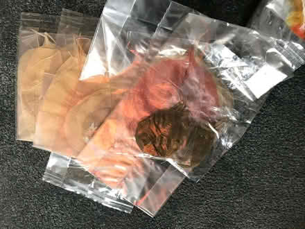 Photo of free Large quantity of ostrich feathers (Bristol BS3) #2