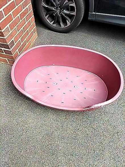 Photo of free Hard Plastic Dog Bed (Bath & North East Somerset BS31) #1