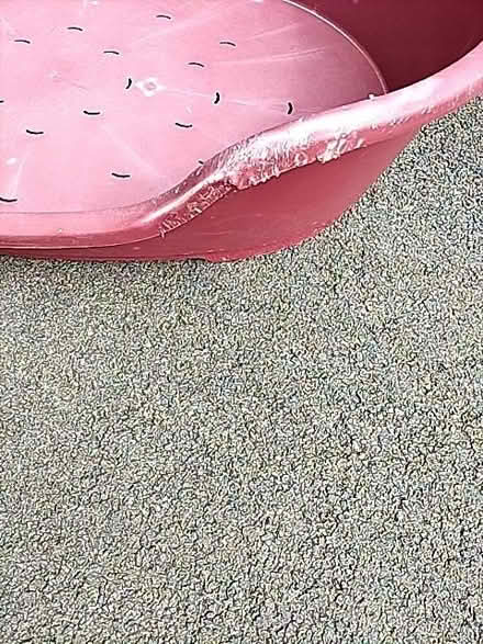 Photo of free Hard plastic dog bed (Bath & North East Somerset) #2