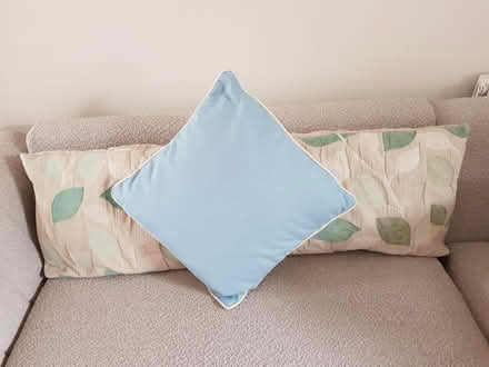 Photo of free Blue scatter cushions (Exeter, Beacon Heath) #1