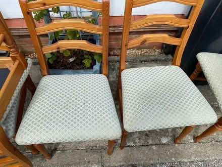 Photo of free Dining chairs (Portslade Village BN41) #3