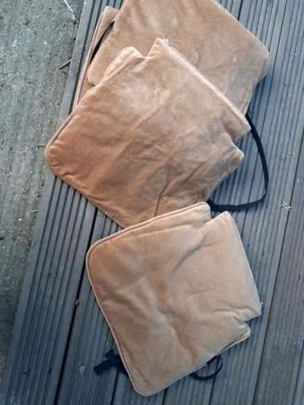 Photo of free chair cushions x 4 (Ardingly RH17) #1