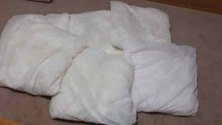 Photo of free Cushion Inserts (Loosley Row HP27) #1