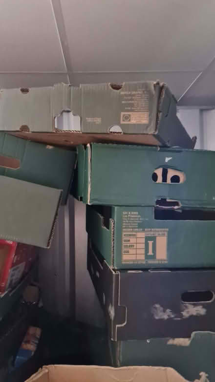 Photo of free Cardboard trays - supermarket style (Seaford BN25) #1