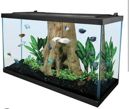 Photo of Small fish tank (Stanwell TW19) #1
