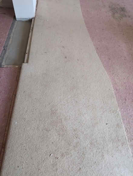 Photo of free Used carpet large amount (Shenfield, CM15) #4