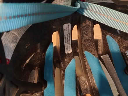 Photo of free Child's bike helmet (Buckstone EH10) #3