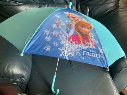 Photo of free Two Frozen Umbrellas (Gosforth NE3) #3