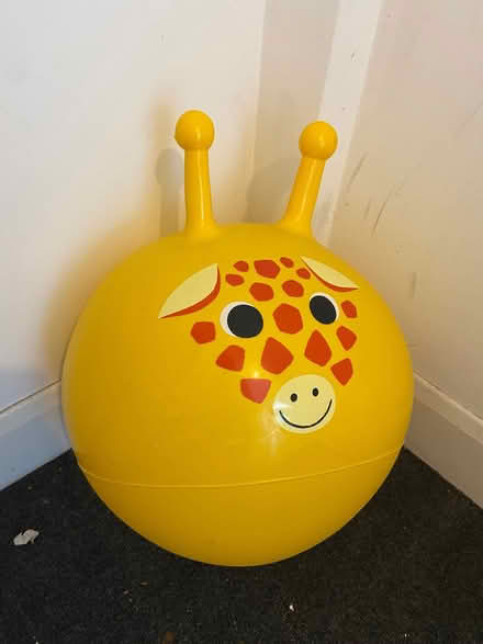 Photo of free Jumping hopper (Tufnell Park N7) #1