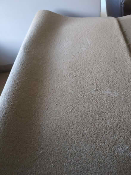 Photo of free Used carpet large amount (Shenfield, CM15) #1