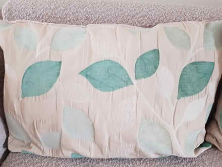 Photo of free Blue scatter cushions (Exeter, Beacon Heath) #3