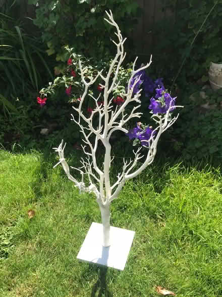 Photo of free Artificial white display tree (Farlington PO6) #1