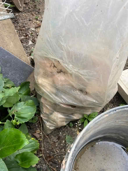Photo of free Rubble, Broken bricks etc (Askew Road W12) #1