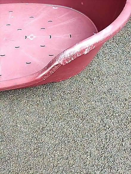 Photo of free Hard Plastic Dog Bed (Bath & North East Somerset BS31) #2