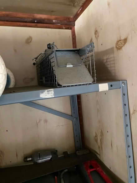 Photo of free squirrel trap (Town of Kensington) #1