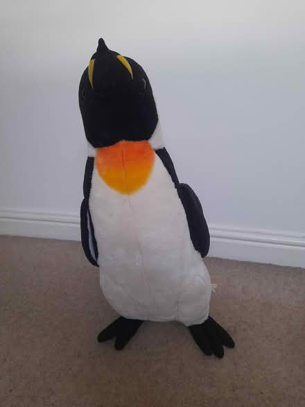 Photo of free Penguin plush - large (Nether Edge S7) #1