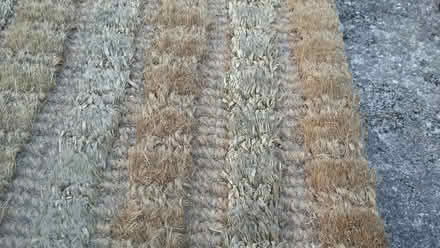 Photo of free Thick coir doormat (Falsgrave) #1