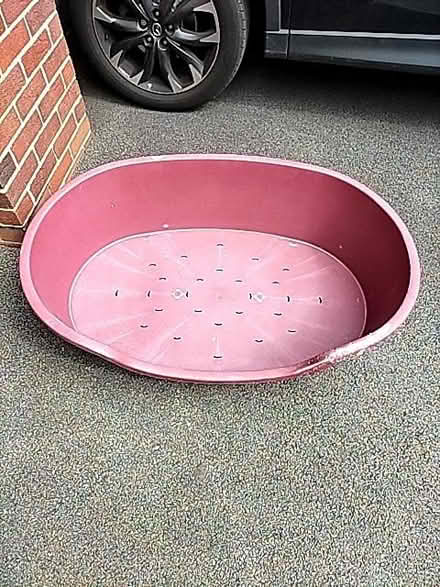 Photo of free Hard plastic dog bed (Bath & North East Somerset) #1