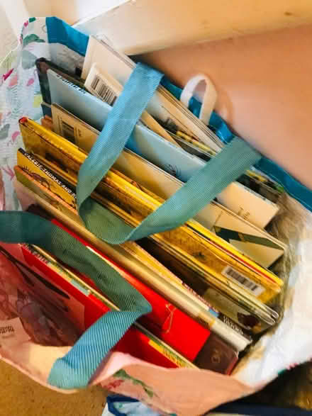 Photo of free Kids books & Lego compatible case (Stanton harcourt, OX29) #4