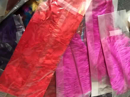 Photo of free Large quantity of ostrich feathers (Bristol BS3) #3