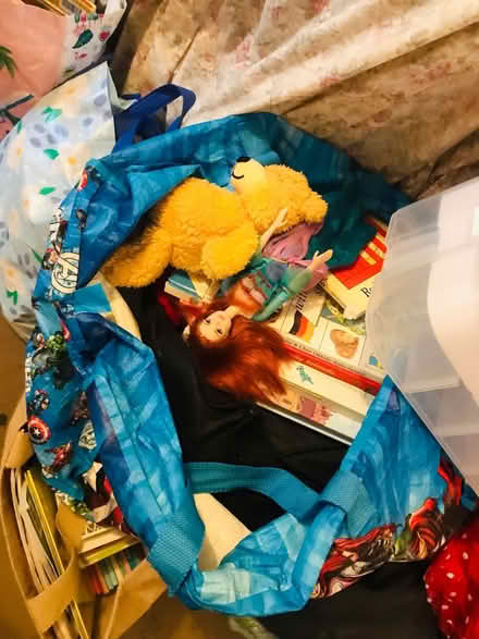 Photo of free Kids books & Lego compatible case (Stanton harcourt, OX29) #1