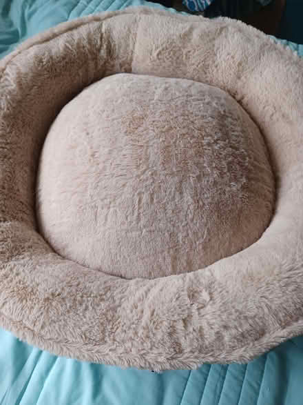 Photo of free Medium sized dog or cat bed. (Kenilworth CV8) #2
