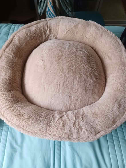 Photo of free Medium sized dog or cat bed. (Kenilworth CV8) #3